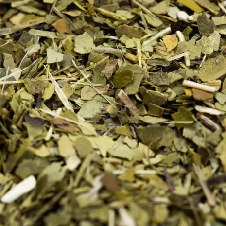 yerba-mate