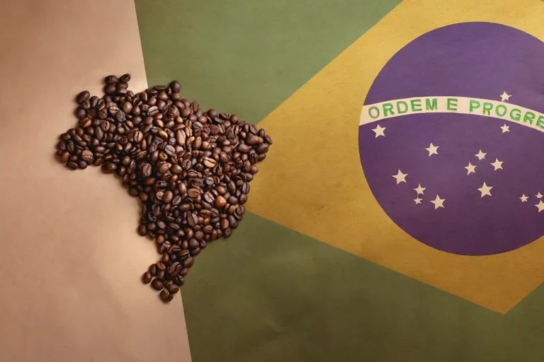 Najlepsze plantacje kawy na świecie – BRASIL SANTOS